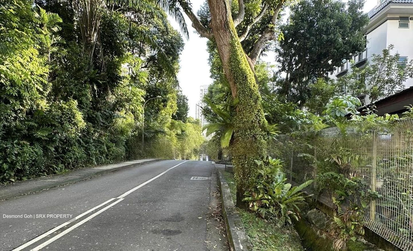 Balmoral Park (D10), Detached #464287181